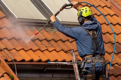 Démoussage et hydrofuge de toiture à Roubion